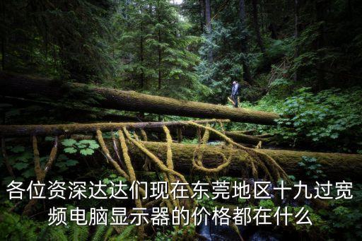 各位資深達達們現在東莞地區十九過寬頻電腦顯示器的價格都在什么
