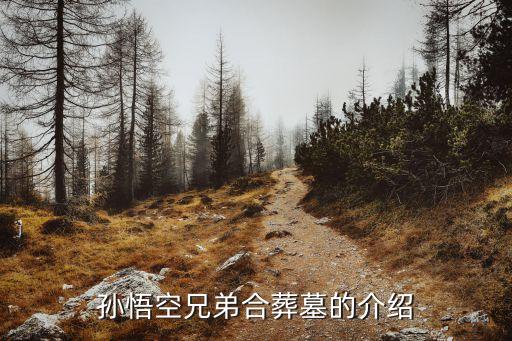 孫悟空的墓，孫悟空兄弟合葬墓的介紹