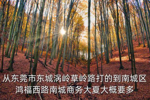 從東莞市東城渦嶺草嶺路打的到南城區(qū)鴻福西路南城商務大夏大概要多
