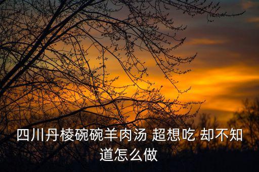 四川丹棱碗碗羊肉湯 超想吃 卻不知道怎么做