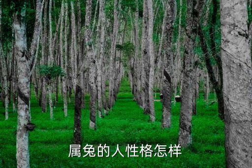 屬兔的性格，屬兔人的性格