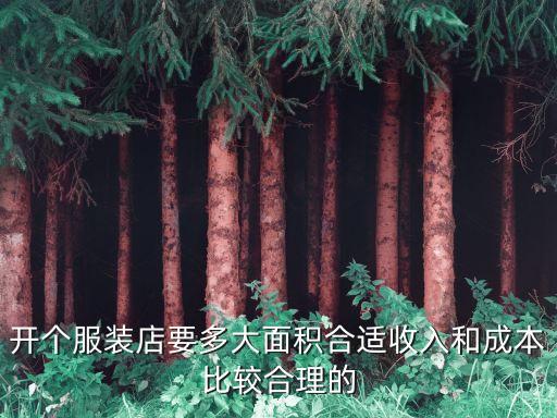 開個服裝店要多大面積合適收入和成本比較合理的