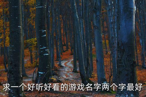求一個好聽好看的游戲名字兩個字最好