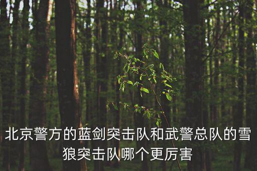 藍劍突擊隊，北京警方的藍劍突擊隊和武警總隊的雪狼突擊隊哪個更厲害
