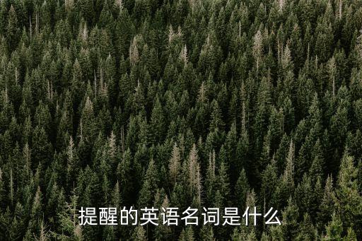 提醒的英語名詞是什么