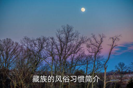 藏族的風俗習慣簡介