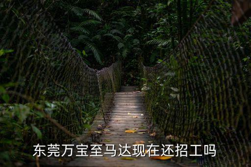 東莞萬寶至馬達現在還招工嗎