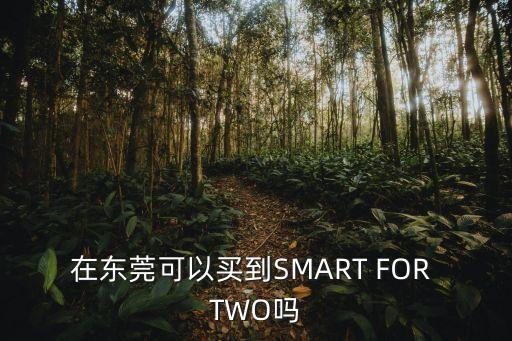在東莞可以買到SMART FOR TWO嗎