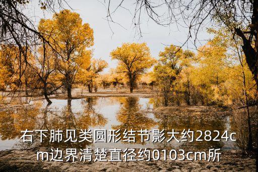 右下肺見類圓形結(jié)節(jié)影大約2824cm邊界清楚直徑約0103cm所