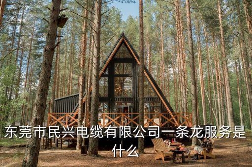 東莞推油 磁力，東莞市民興電纜有限公司一條龍服務是什么