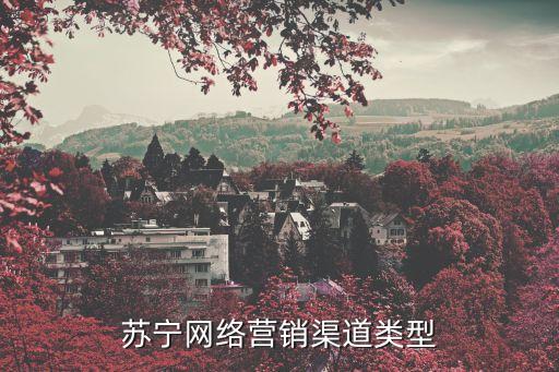 蘇寧易購(gòu)?fù)茝V，蘇寧易購(gòu)網(wǎng)址