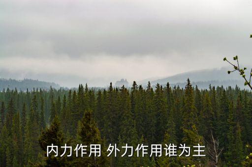 內力作用，游戲中內力的作用是啥