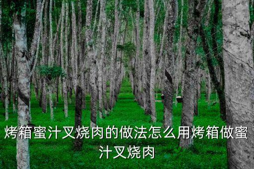 烤箱蜜汁叉燒肉的做法怎么用烤箱做蜜汁叉燒肉