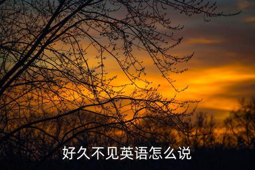 好久不見(jiàn)英語(yǔ)，好久不見(jiàn)英語(yǔ)怎么說(shuō)