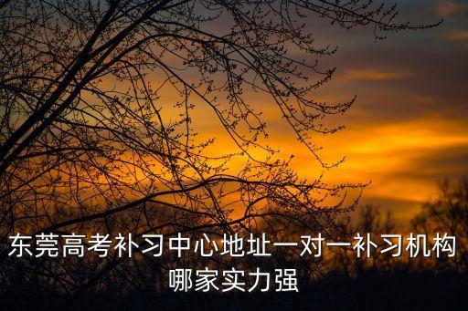 東莞有幾家優勝教育，東莞高考補習中心地址一對一補習機構哪家實力強