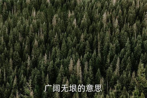 廣闊無垠的意思，廣闊無垠的意思