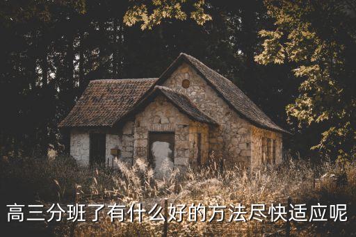 高三分班了有什么好的方法盡快適應呢