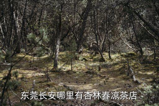 東莞長安哪里有杏林春涼茶店