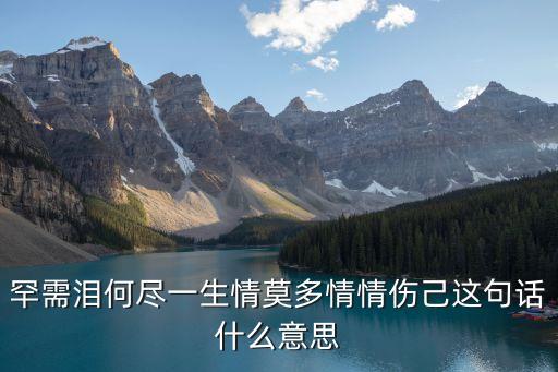 何盡一生情，塵緣從來(lái)都如水罕須淚何盡一生情莫多情情傷己這句話是什