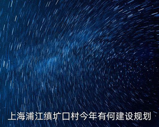 上海浦江縝壙囗村今年有何建設規劃