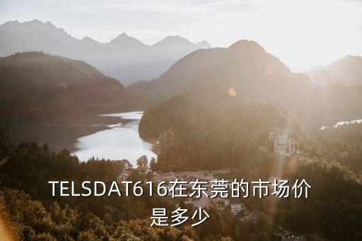 東莞市616，TELSDAT616在東莞的市場(chǎng)價(jià)是多少