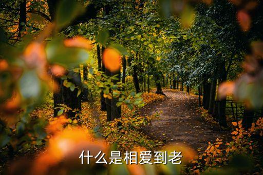 相愛到老，什么是相愛到老