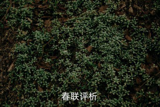 春聯(lián)賞析，春聯(lián)評(píng)析
