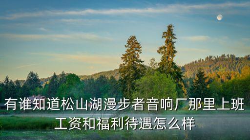 有誰知道松山湖漫步者音響廠那里上班工資和福利待遇怎么樣
