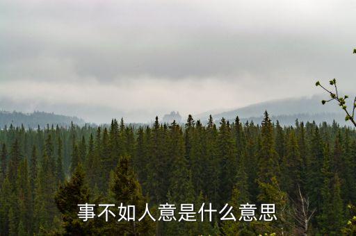 事不如人意是什么意思