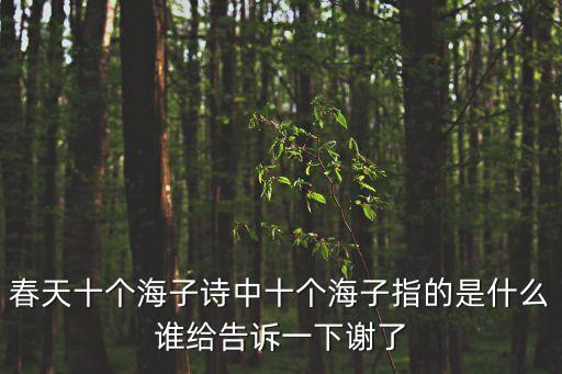 十個(gè)海子，春天十個(gè)海子詩中十個(gè)海子指的是什么誰給告訴一下謝了