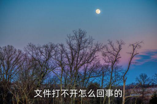 文件打不開，文件打不開怎么回事的