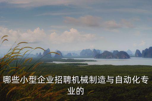 哪些小型企業(yè)招聘機(jī)械制造與自動(dòng)化專業(yè)的