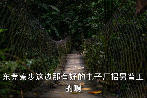 東莞市寮步鎮最新招聘，東莞寮步這邊那有好的電子廠招男普工的啊