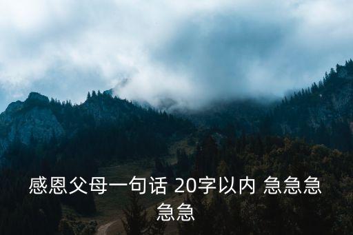 感謝父母養育之恩的話，20字感激父母的話