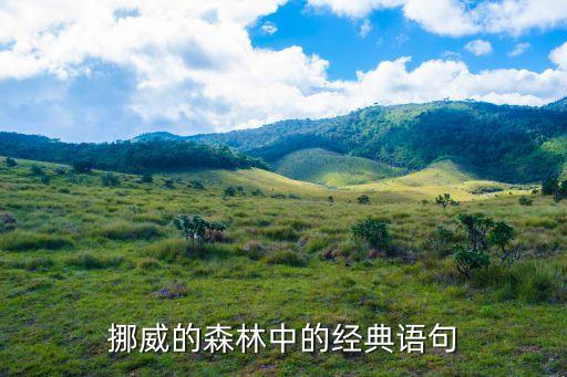 挪威的森林經(jīng)典語錄，挪威的森林中的經(jīng)典語句