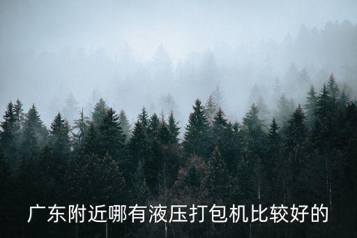 廣東附近哪有液壓打包機比較好的