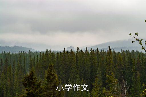 小學作文大全，小學作文大全