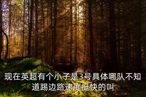 威爾士國家隊，現在英超有個小子是3號具體哪隊不知道踢邊路速度挺快的叫