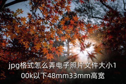 jpg格式怎么弄電子照片文件大小100k以下48mm33mm高寬