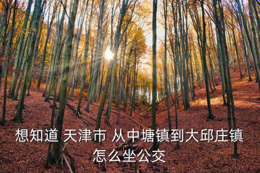 想知道 天津市 從中塘鎮到大邱莊鎮怎么坐公交