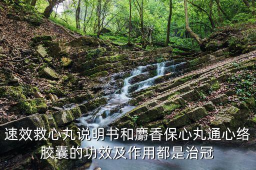 速效救心丸的作用與功效，速效救心丸的作用