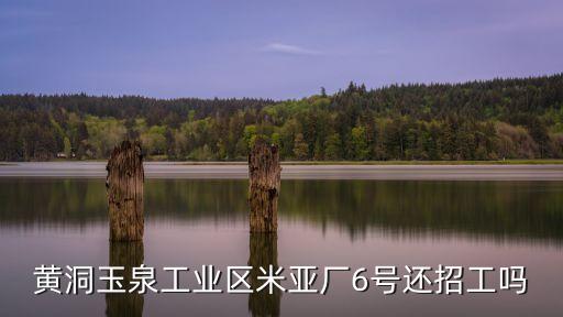 黃洞玉泉工業區米亞廠6號還招工嗎