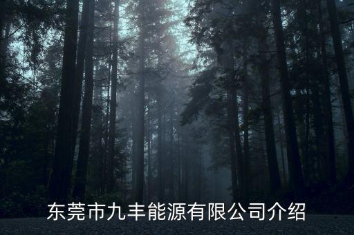 東莞市九豐能源有限公司介紹