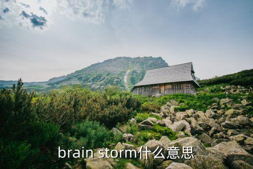 頭腦風(fēng)暴英文，brain storm什么意思