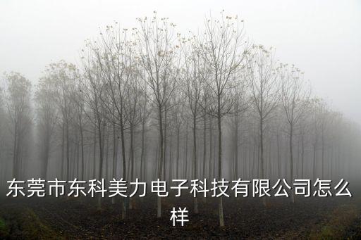 東莞市東科美力電子科技有限公司怎么樣