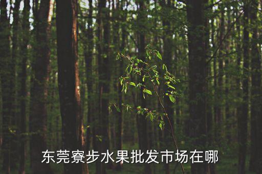 東莞寮步鎮市場，寮步菜市場批發市場在哪里