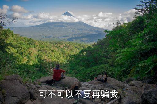 不要再騙我，有一首歌的歌詞最后一句是請不要再騙我叫什么歌名呢