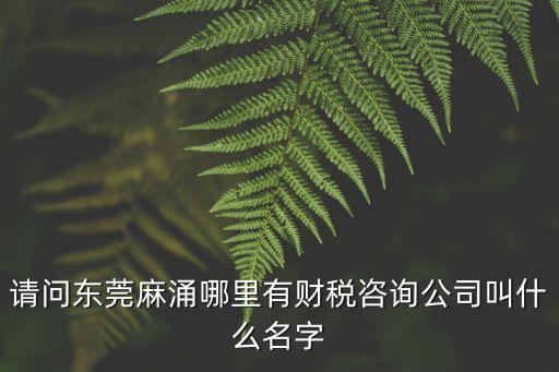 東莞有財(cái)務(wù)公司嗎，請(qǐng)問(wèn)東莞麻涌哪里有財(cái)稅咨詢(xún)公司叫什么名字