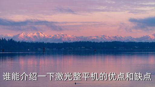 誰能介紹一下激光整平機的優(yōu)點和缺點