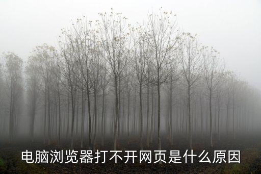 電腦瀏覽器打不開網頁是什么原因